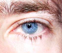 Profil de Adlan